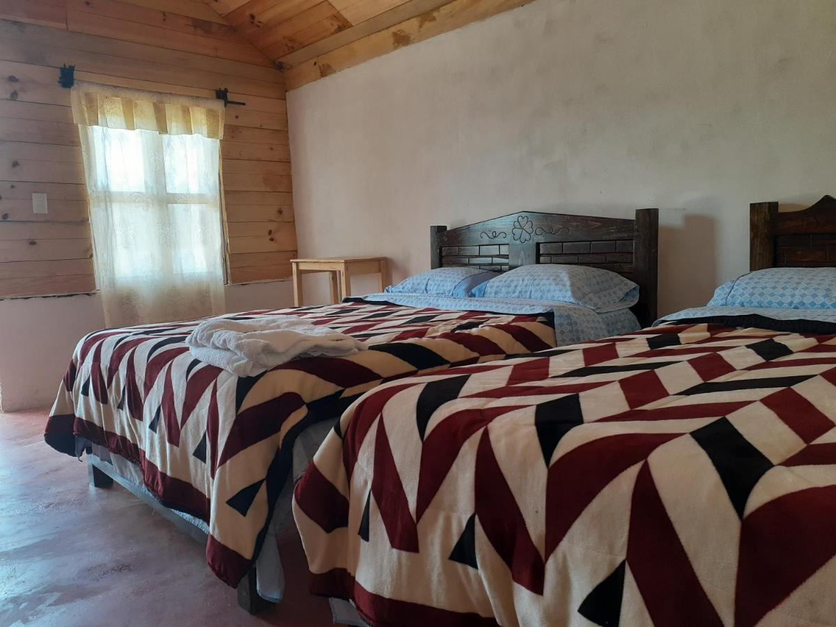 Cabanas Liquidambar La Trinitaria المظهر الخارجي الصورة